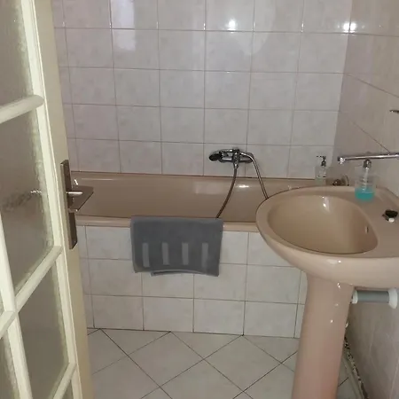 トロニチェック