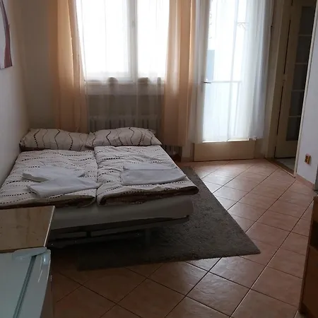 トロニチェック プラハ